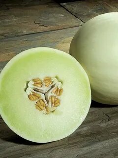 Дыня японская