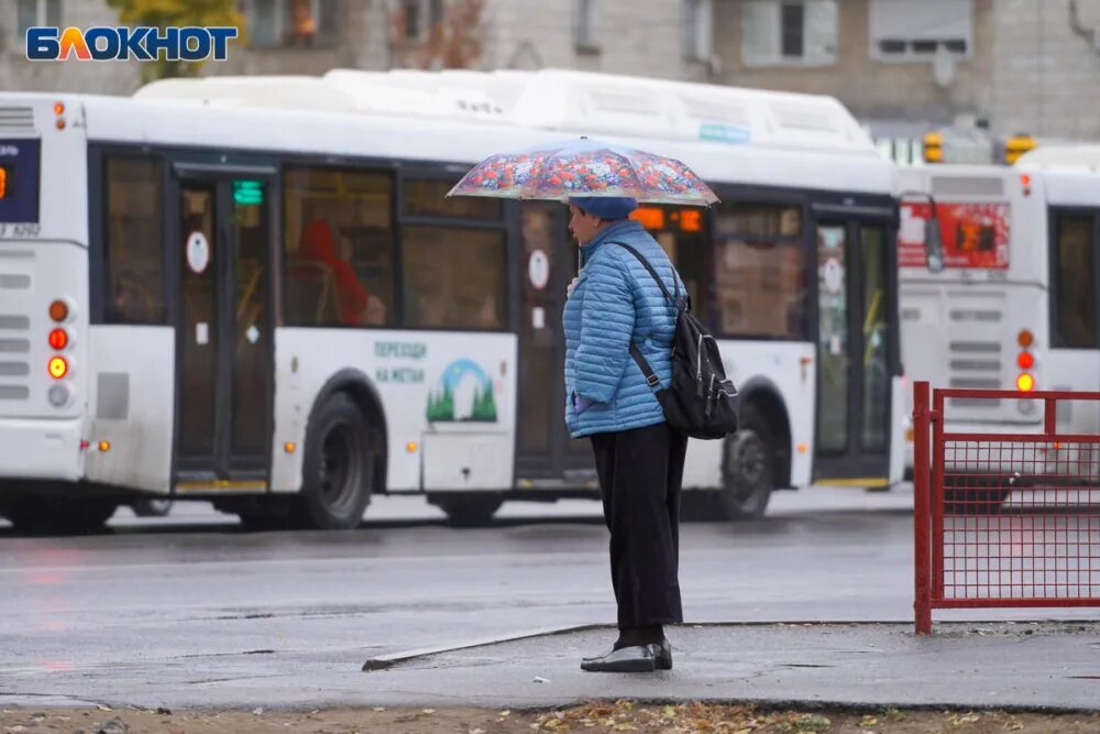 59 Автобус Волгоград. 20 Автобус Волгоград. Автобус 79 Волгоград. Сегодня будет дождь.