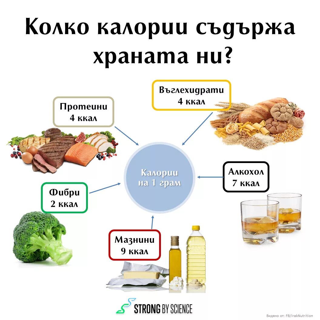 Килокалории в калории. Ккалорий или калорий. Калории и килокалории разница. Отличие калорий и килокалорий. Для чего нужны килокалории