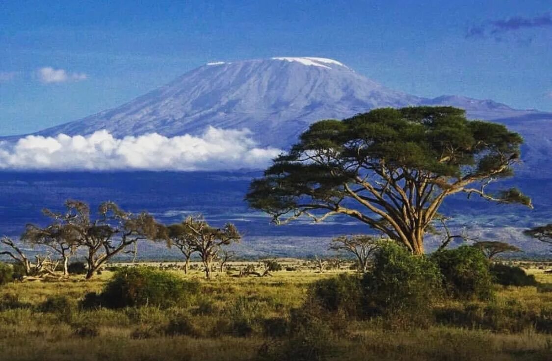 Африка самый высокий. Национальный парк Килиманджаро. Парк горы Килиманджаро Танзания. Кения гора Килиманджаро. Гора Килиманджаро в Танзании, Африка.