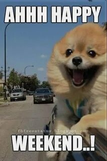 Happy funny