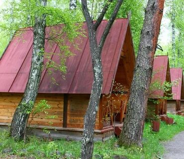 Сердце алтая отдых
