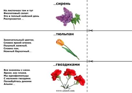 Короткая загадка про цветок