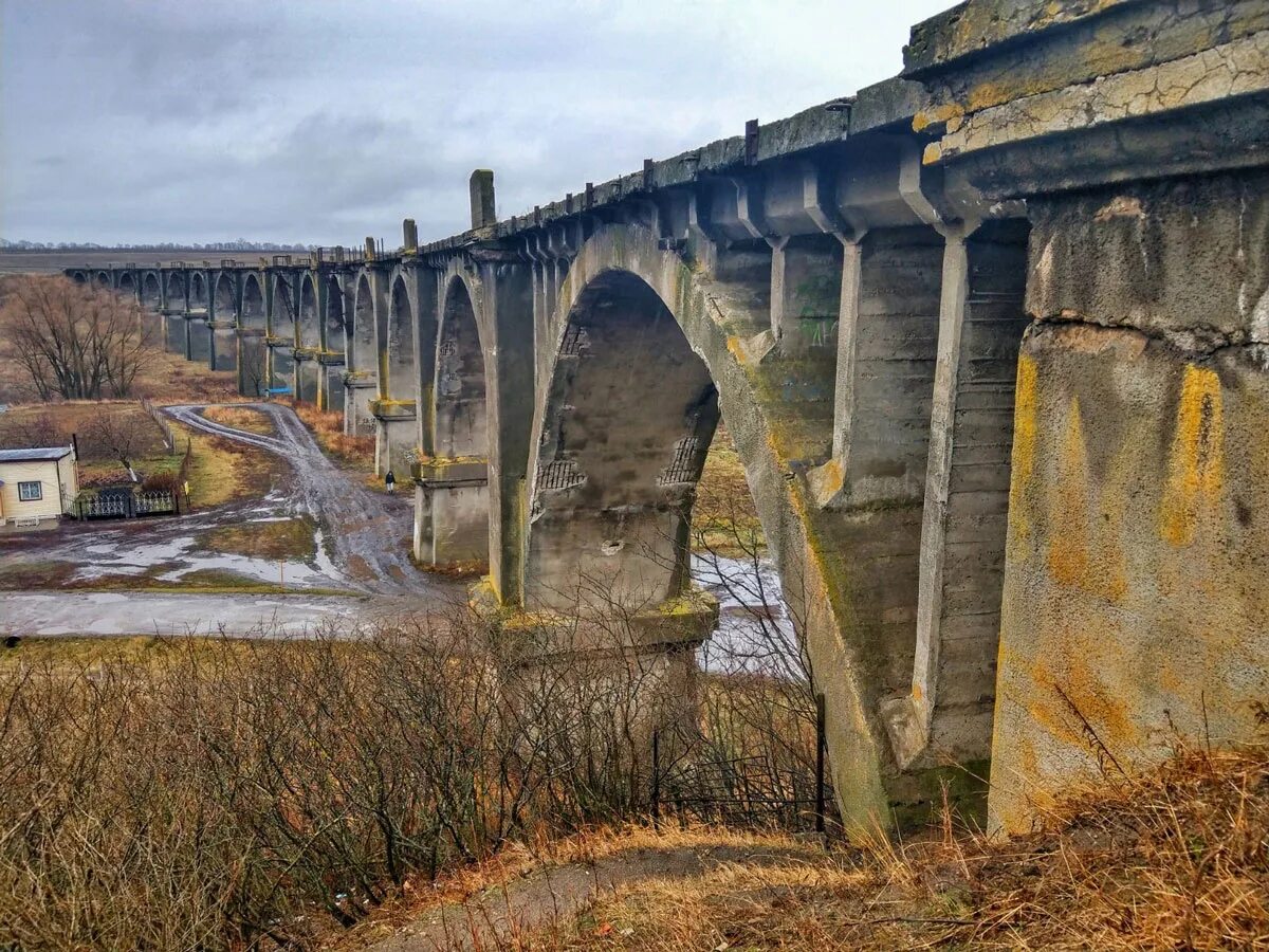 Мокринский железнодорожный виадук в чувашии. Вантовый пешеходный мост красноярск. Эмблема проекта киноуроки в школе. Город барнаул мост через обь. Ночной красноярск вантовый мост.