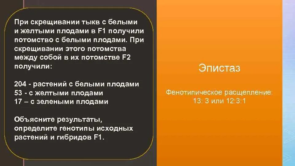 Распад 13. При скрещивании тыквы с белыми плодами с f 1. Скрещивание тыквы. При скрещивании двух белых тыкв. Эпистаз при скрещивании тыкв.