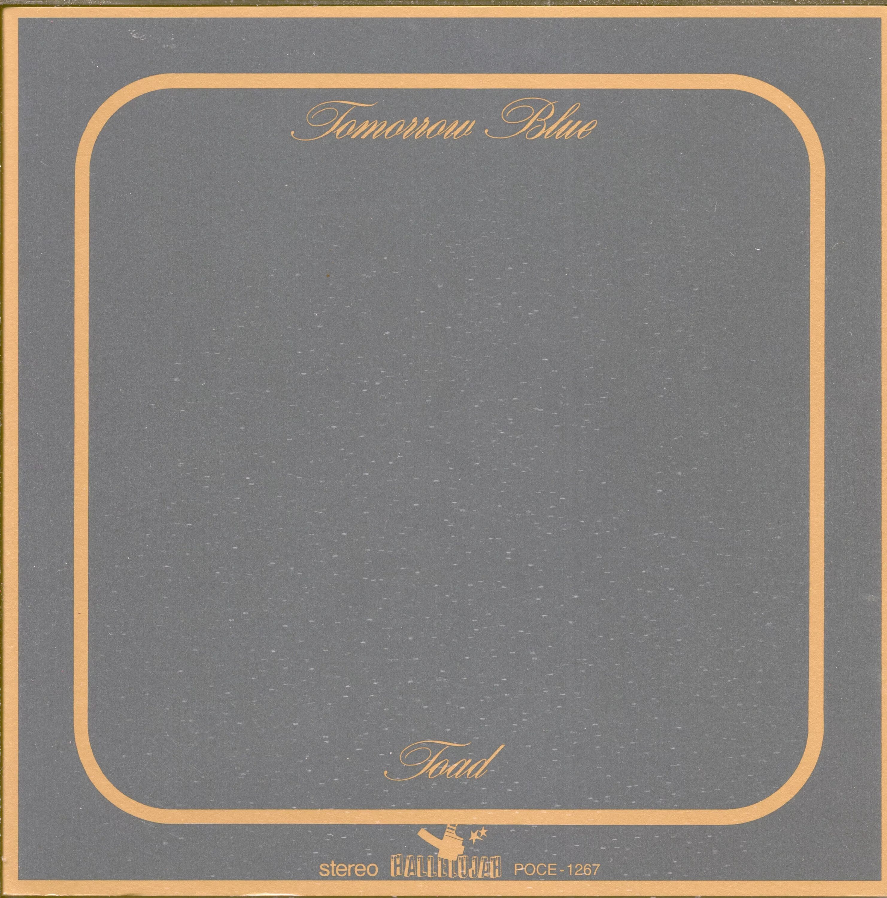 Blues united fighting organisation (1970) винил фото. Blues for tomorrow. Toad - b. Спонсорство картинки для презентации. Рок группа toad.