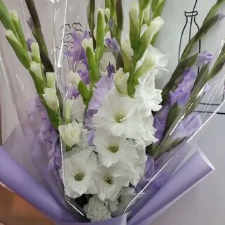 Гладиолусы букет картинки красивые