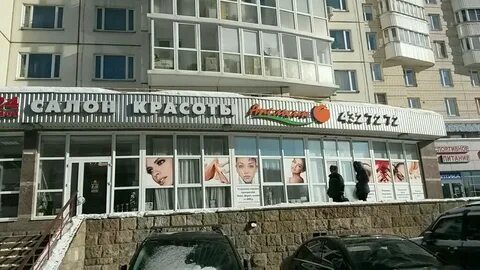 Кактус комендантский просп 28 корп 1 отзывы