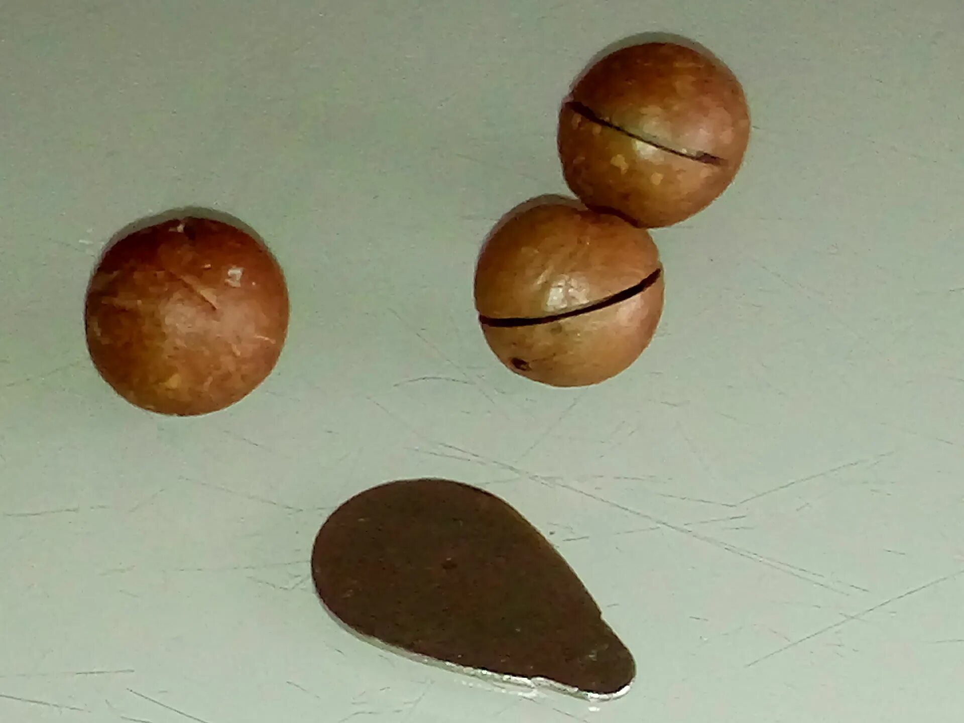 Как называется орех который открывается. Macadamia nuts. круглые орехи. орешки макадамия. орехи в круглой скорлупе.