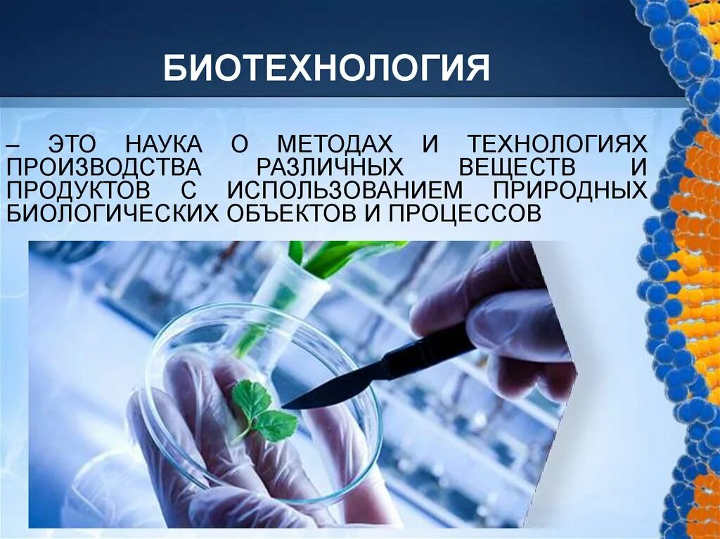 Роль биотехнологии. Биотехнология. Биотехнология презентация. Биотехнология это наука. Биотехнология это в биологии.