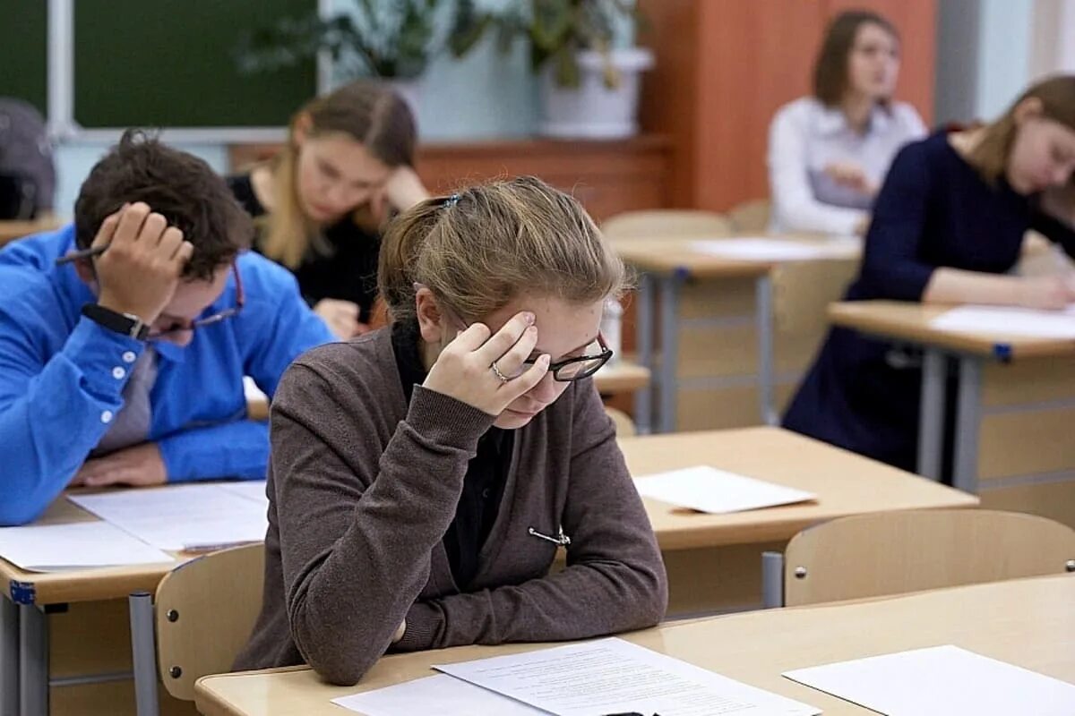 Олимпиады для школьников которые учитываются