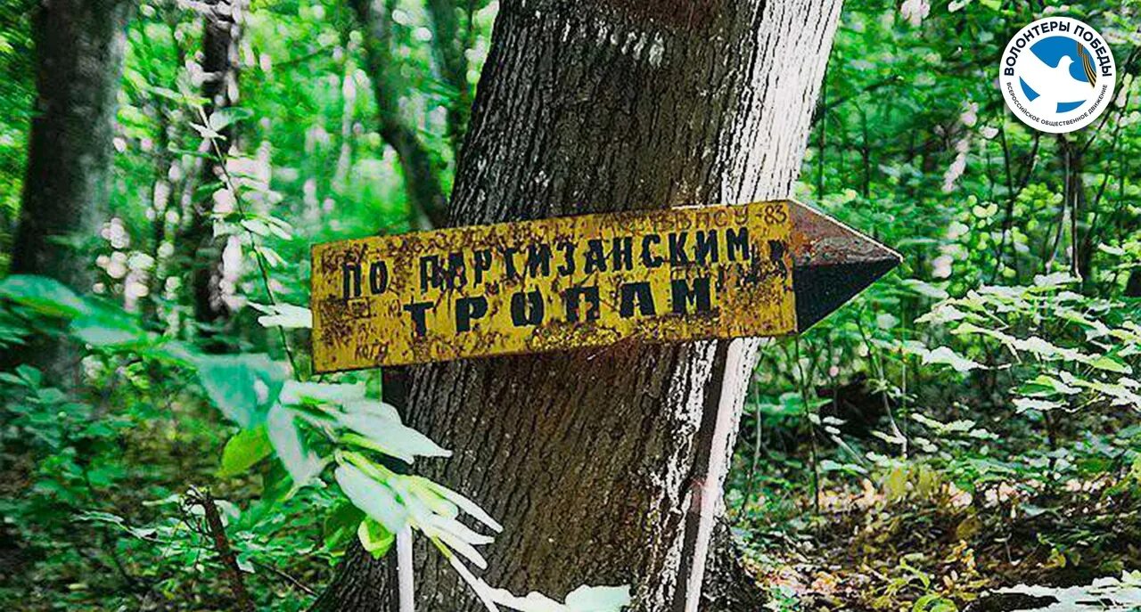 Квест партизан. Партизанская тропа. тропами партизан. партизанскими тропами. тропа партизан крым.