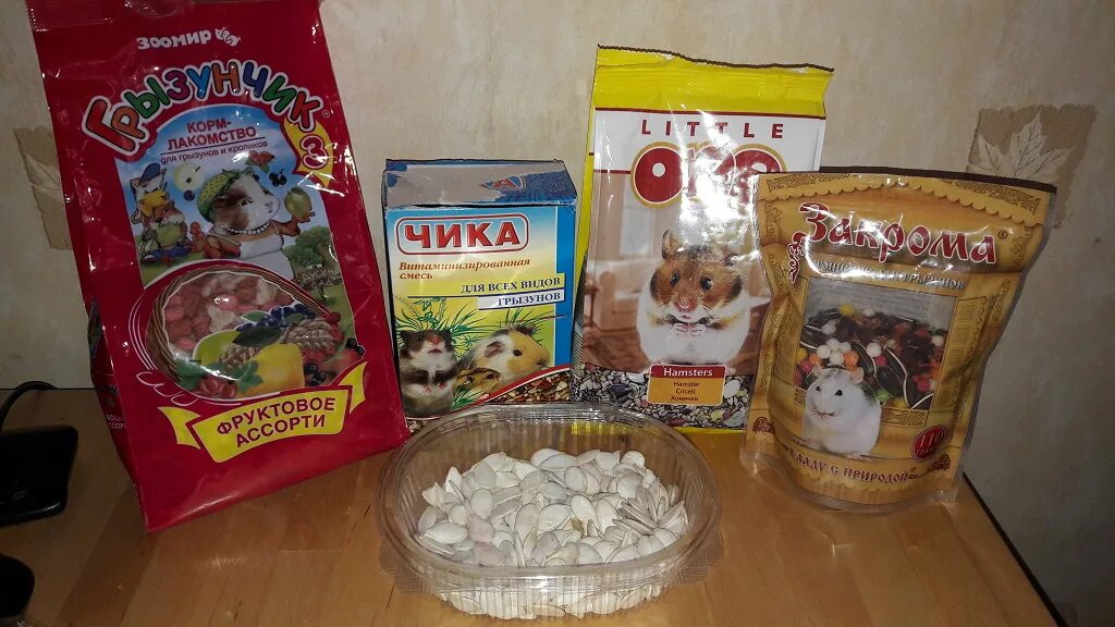 Можно хомякам давать черешню. Можно хомякам давать черешню