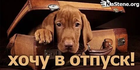 Хочу отпуск на английском