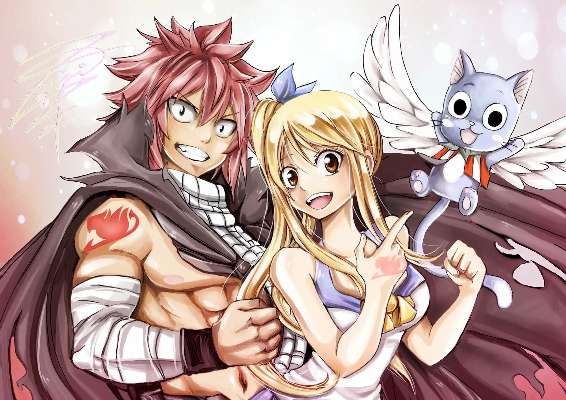 Fairy tail хвост феи. Хвост феи нацу и люси. Хвост феи нацу и люси. Фейри тейл нацу и люси. Fairy tail art.