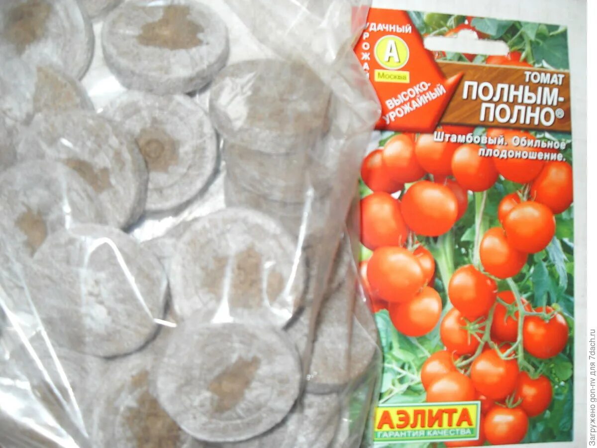 Семена помидор полным полно. Сорт томатов полным полно. Томаты полным полно описание сорта фото