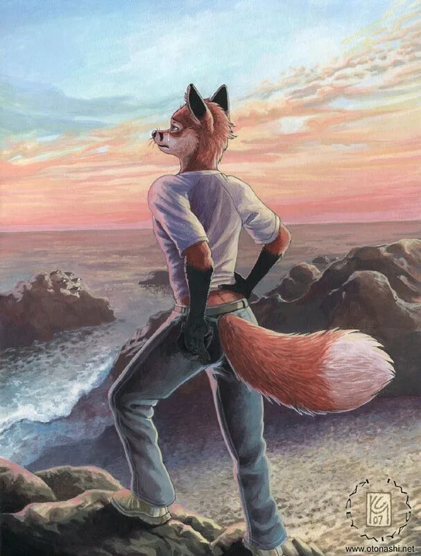 Star fox кристалл и макклауд. Фф автора риджи фокса. Star fox fox mccloud. Рейдак. Фурри лисица.