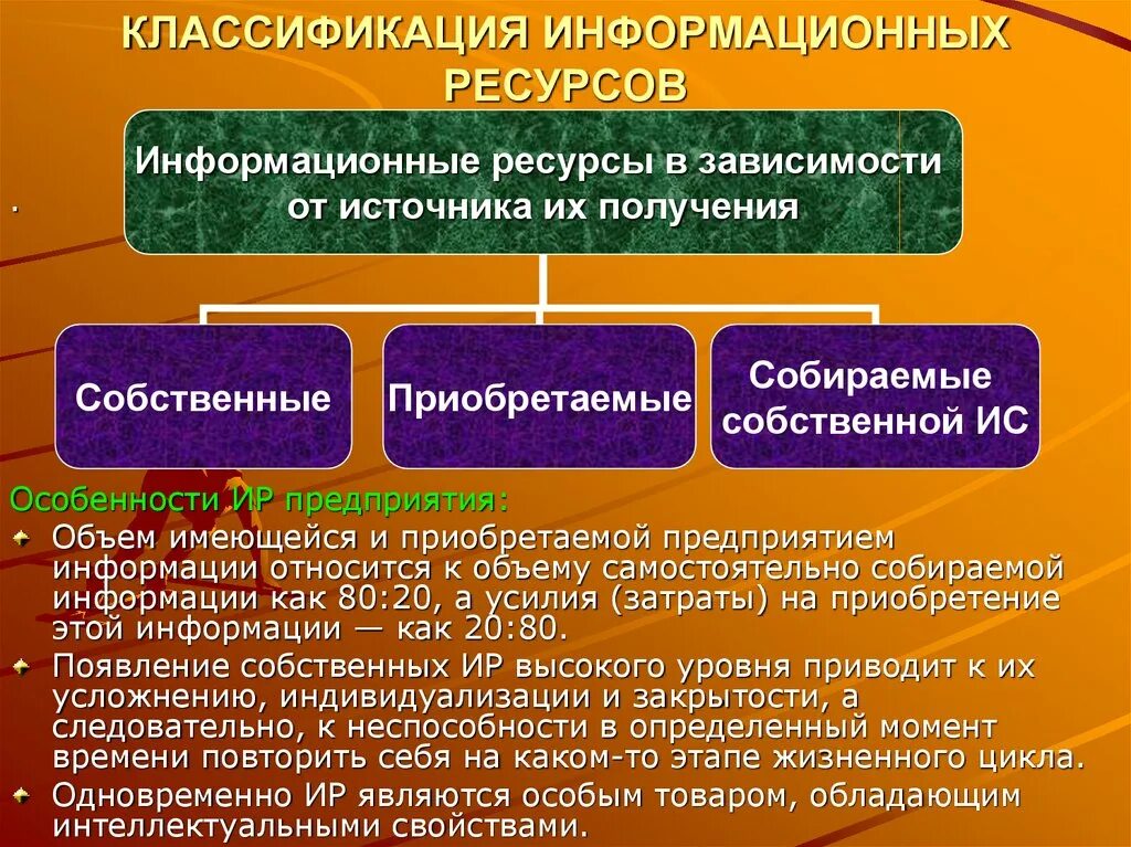 Информационный ресурс организации является. Классификация информационных ресурсов. Информационные ресурсы классификация. Классификация и виды информационных ресурсов. Приведите пример классификации информационных ресурсов.