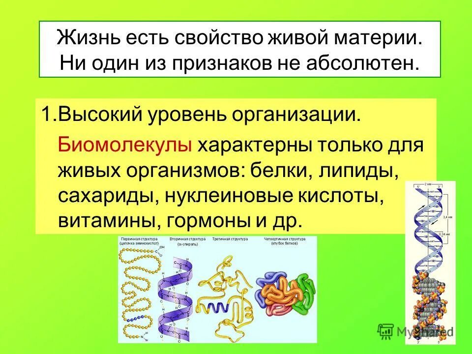 Нуклеиновые кислоты витамины