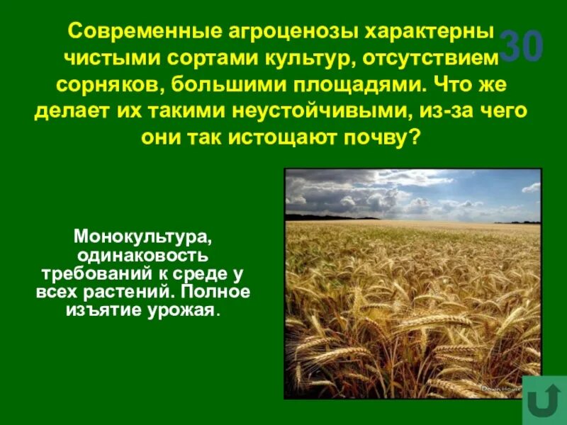 2 агроценоз. Монокультура в агроценозе. Агроценоз это кратко. Агроценоз презентация. Для агроценоза характерно.