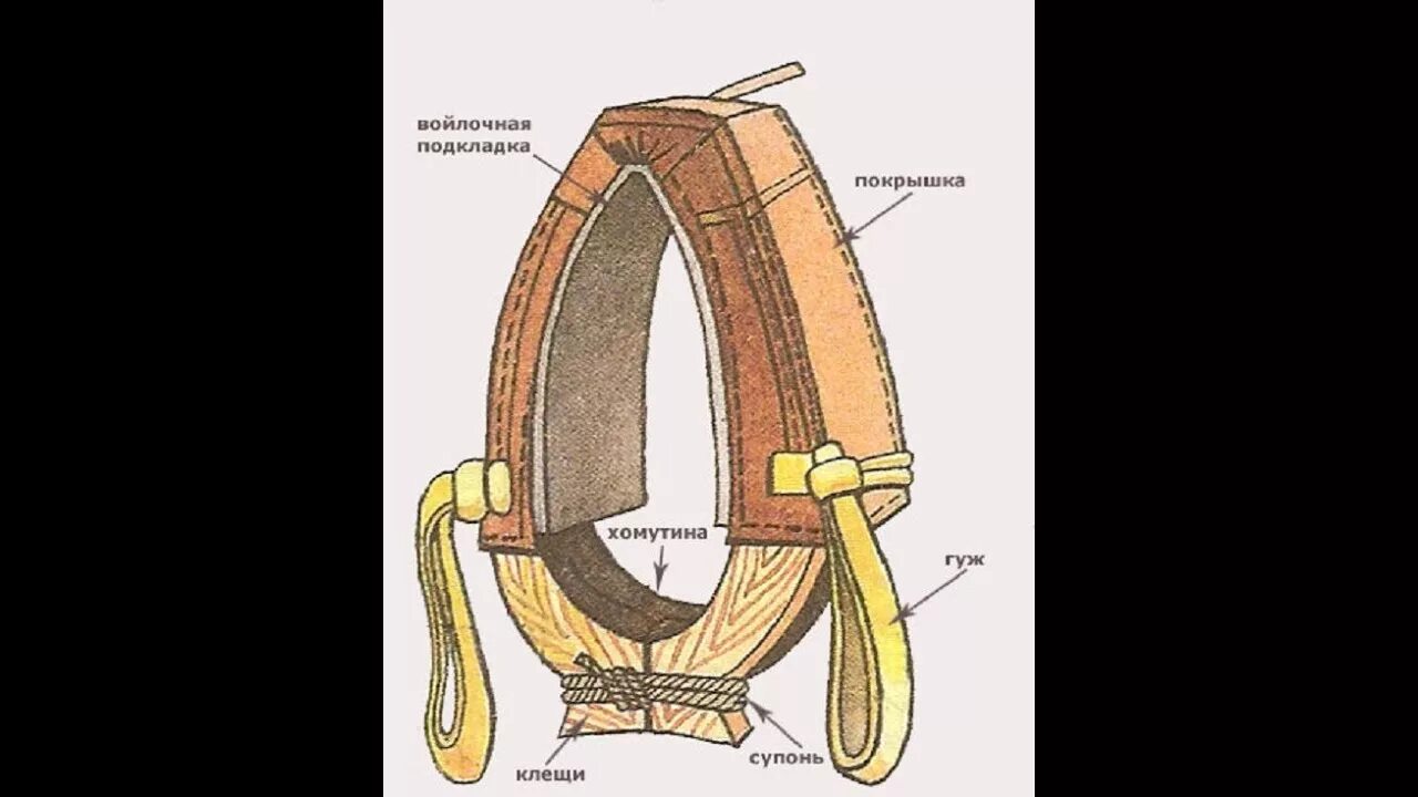 Строение хомута для лошади. Хомут для лошади схема. Гуж. Ярмо для лошади.