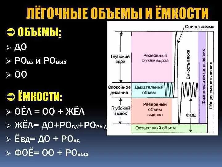 Деление общей емкости легких. Легочные объемы и емкости. Основные объемы и емкости легких. Основные дыхательные объемы. Перечислите легочные ёмкости.