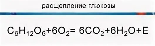 Глюкоза углекислый газ вода