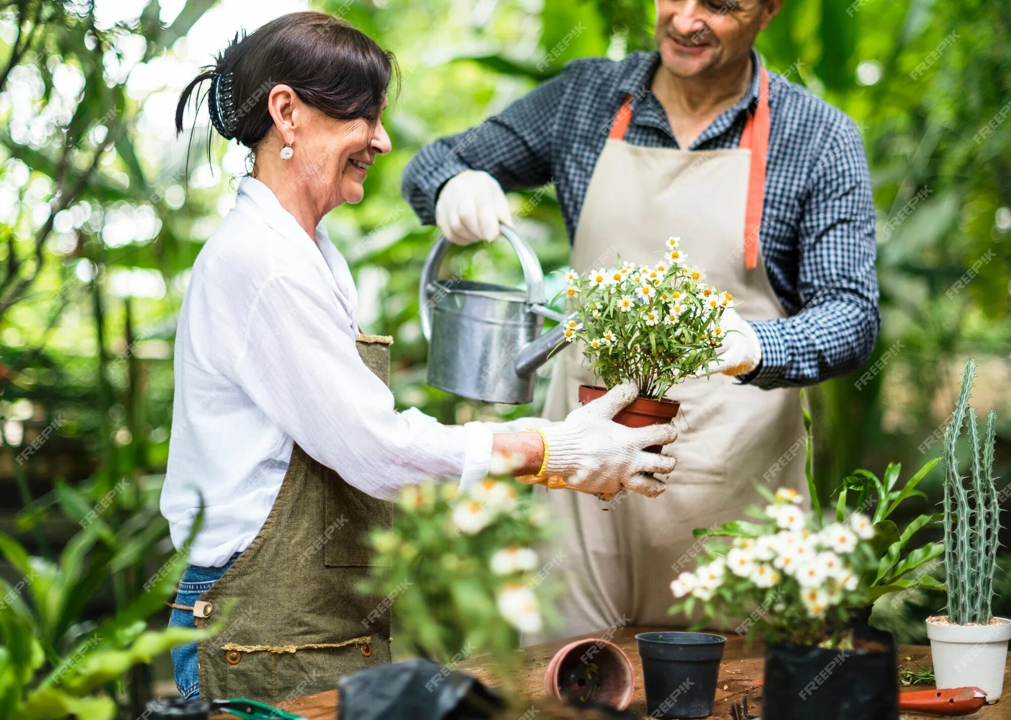 Двое на даче сажают цветы картинки. Картинка женщина сажает цветы. Melanie is planting Flowers. Фото как светлый парень сажает цветы. Пара посадила деревья