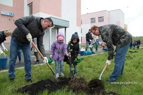 Посадка деревьев принять участие