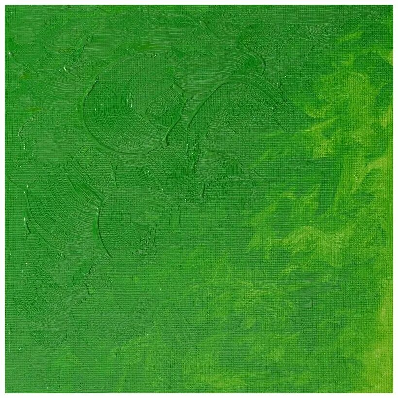 Травяной зеленый цвет. Green coat pural. Бумага тициано для пастели светло-зеленый цвет. 361005 07 зелёные. Зеленый 37.