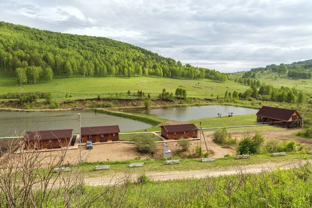 Базы село алтайское. Маральник Никольское Алтай. Село Никольское маральник. Село Никольское Алтайский край маральник. Горно Алтайск маральник Никольское.