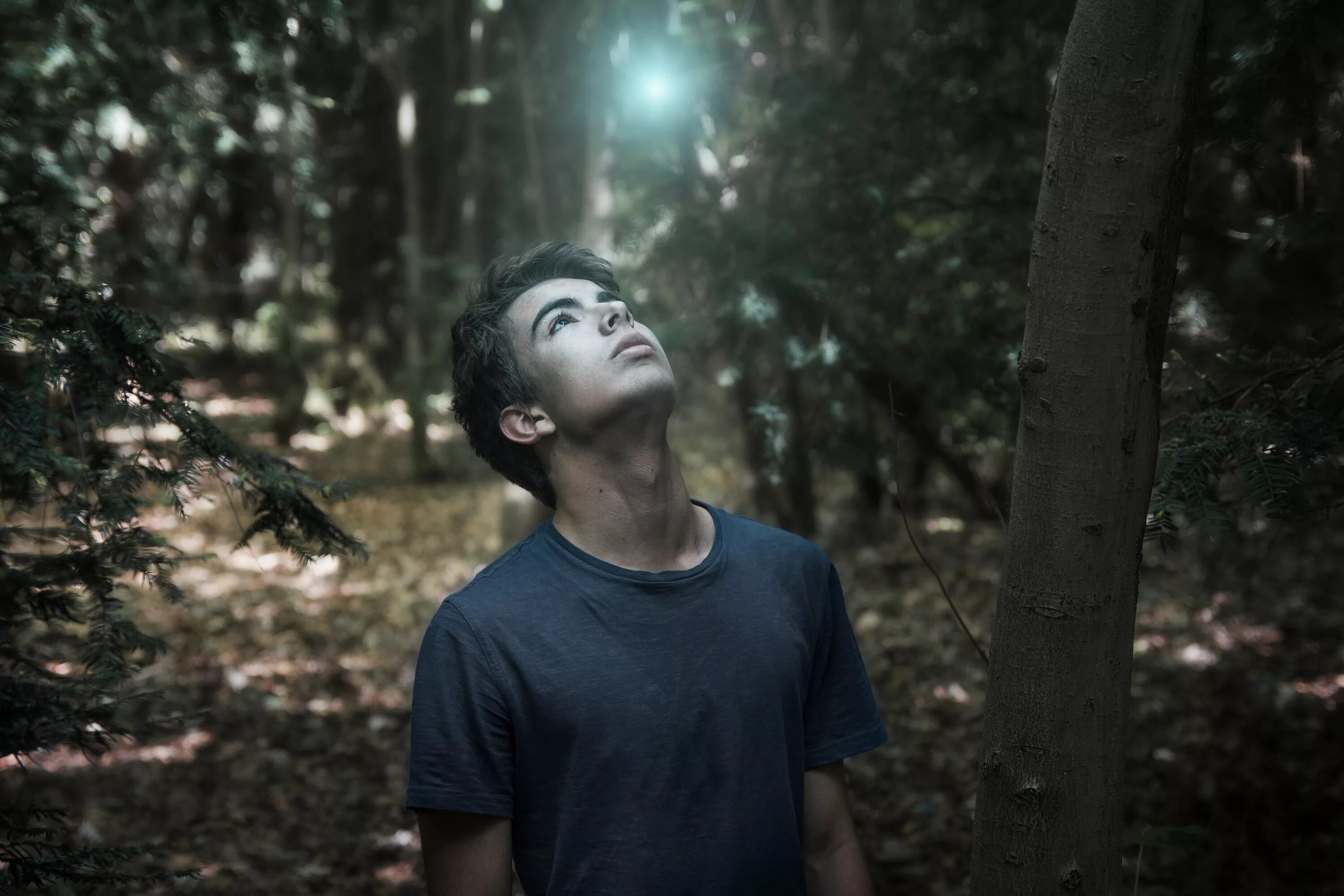 Влюбленные деревья. Молодой человек в лесу. Два парня в лесу. Парни в лесу встречаются. Пара в лесу.