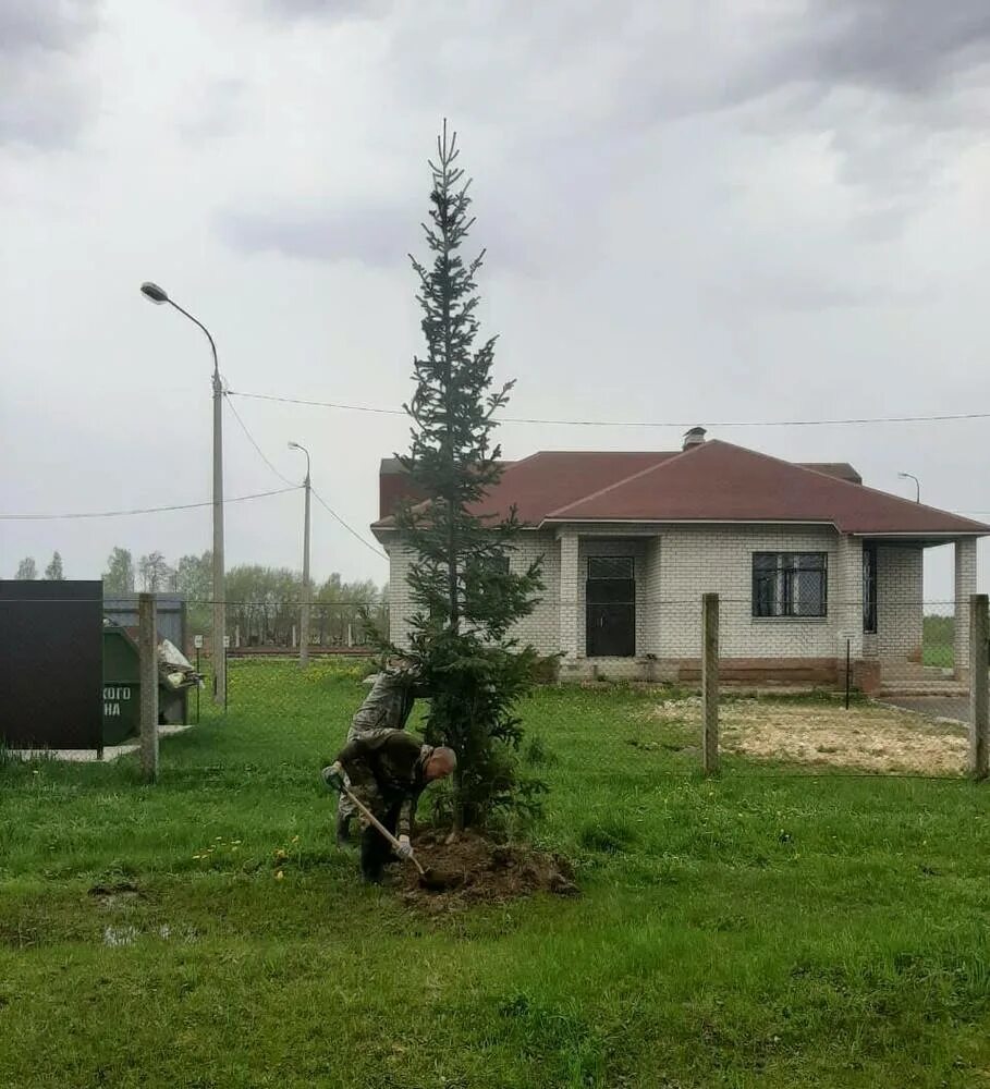 Новолотошино лотошино расписание. Новолотошино новое кладбище. Новолотошино лотошино расписание. Веселый поселок фото. Новолотошинский дом культуры.