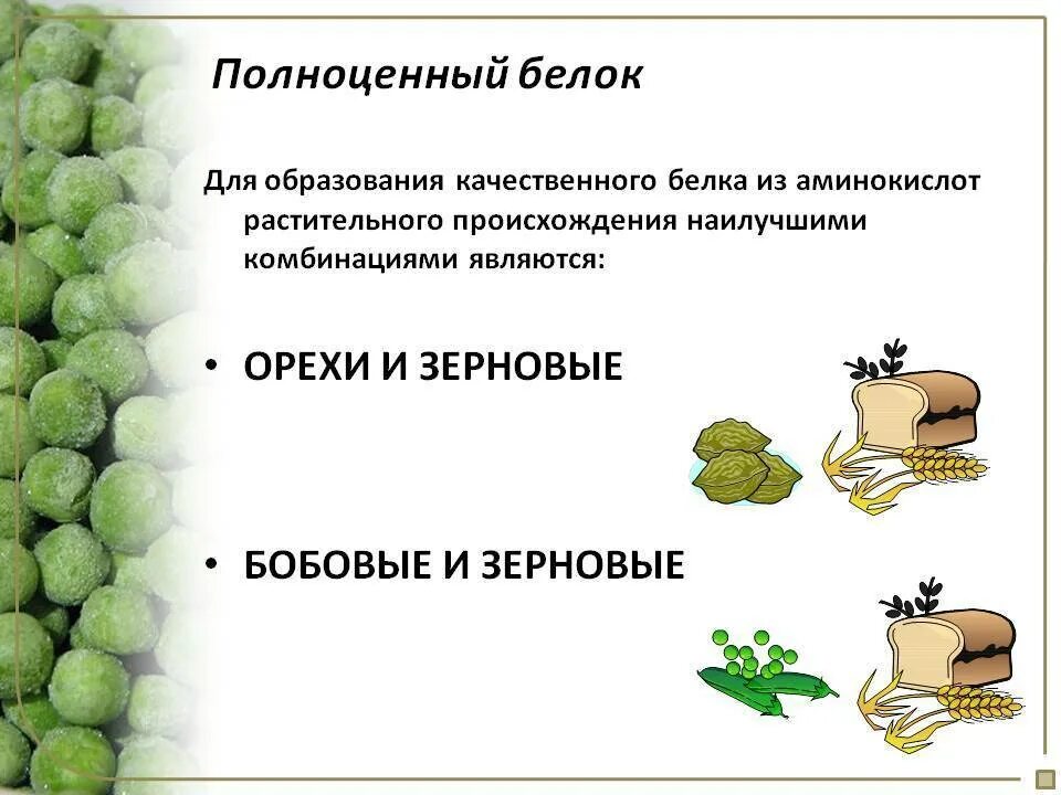 Какой белок является полноценным