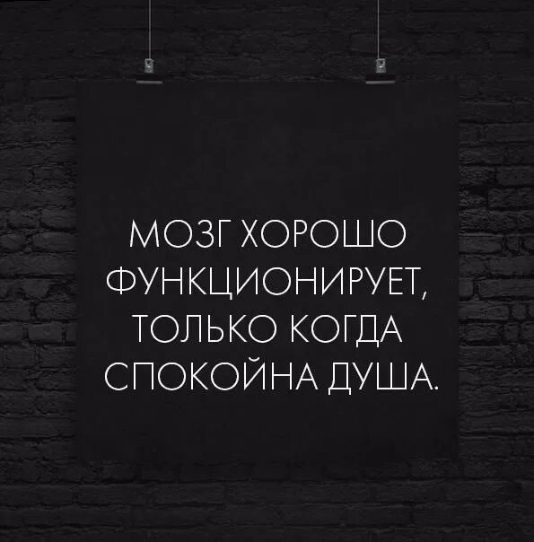 Душевно спокоен. Мозг хорошо функционирует только когда спокойна душа. Мозг функционирует хорошо когда спокойна душа.