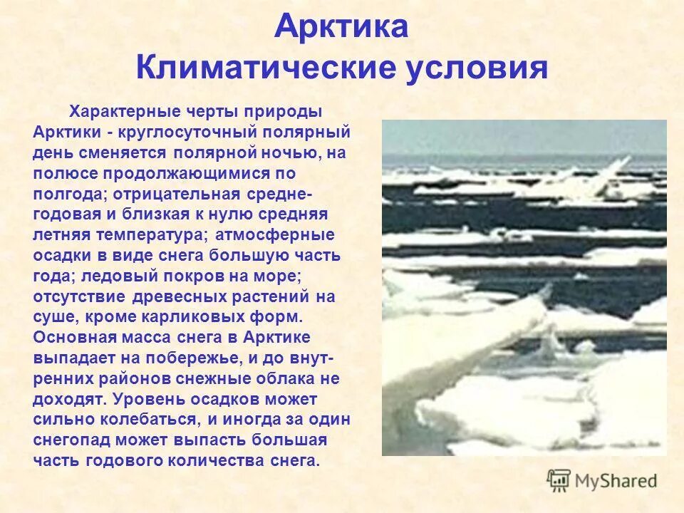 Природно-климатические условия Арктики. Климатические условия Арктики. Природные условия Арктики. Условия арктической пустыни.