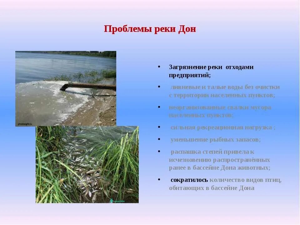 Название проекта экологические проблемы прибрежной зоны реки Презентация "Озеро Байкал"