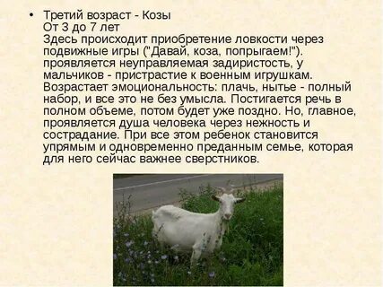 Дай коза