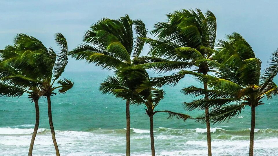 Winds day 3. Winds day 3