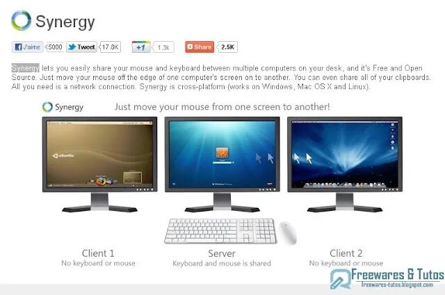 Synergy программа. Synergy soft. синерджи софт.