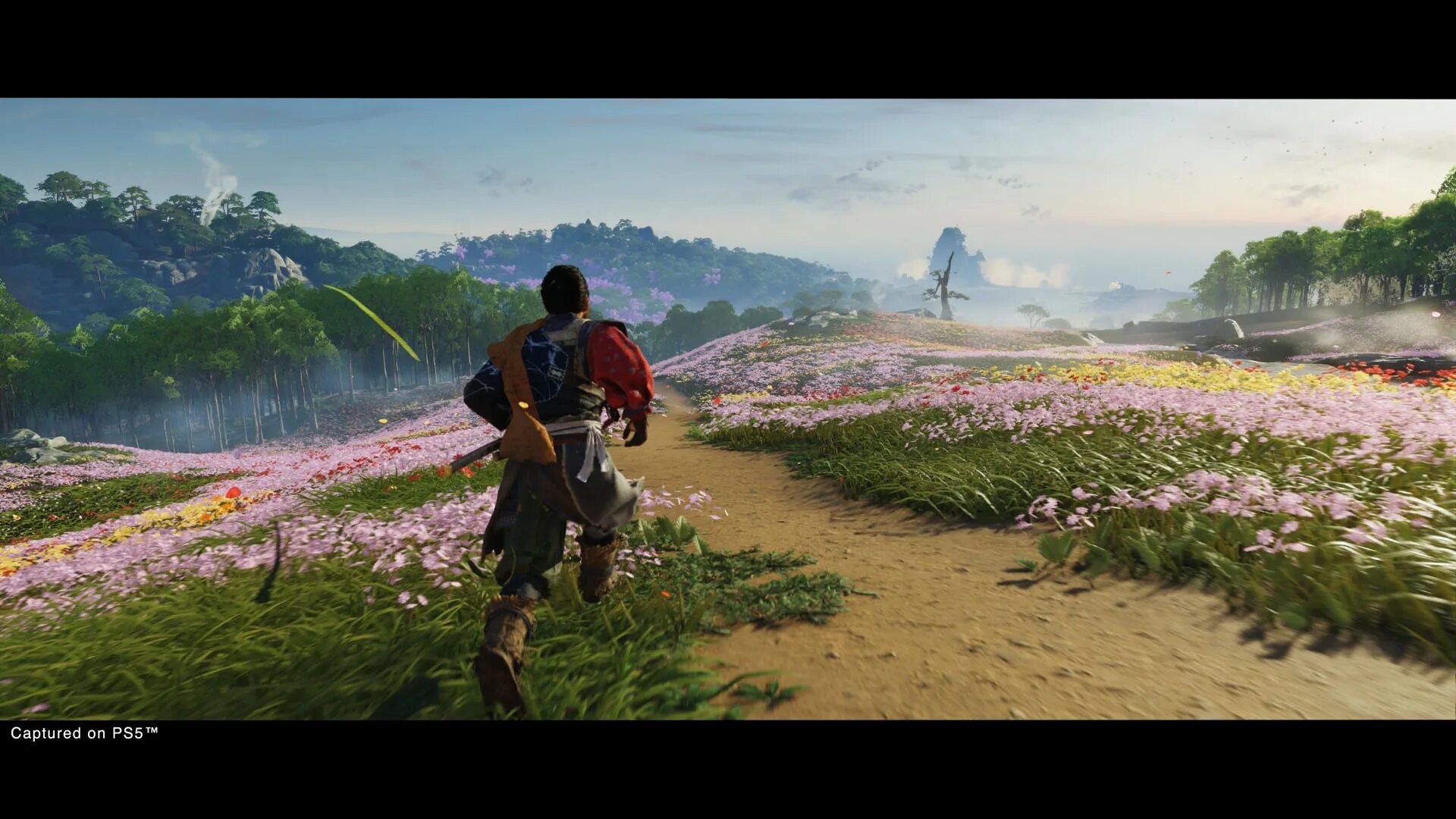 Ghost of tsushima director's cut ps5. Призрак цусимы режиссерская версия стим. Ghost of tsushima ps4. Ghost of tsushima ps4 режиссерская версия. Ghost of tsushima ps4.