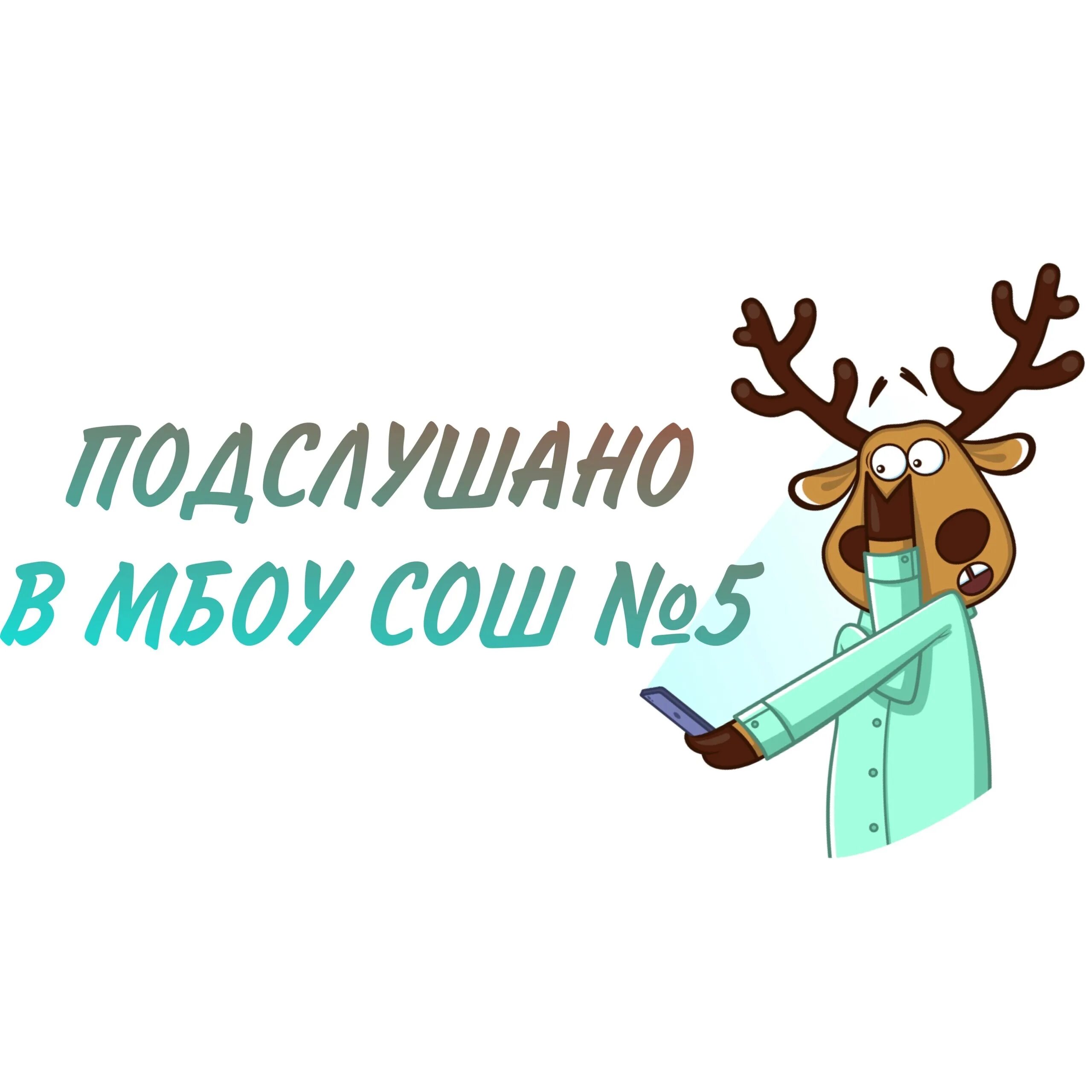 Подслушано луга в контакте. Подслушано в Довольном. Подслушано в Луге. Подслушано в белом Тверской области. Сплетни подслушано Покров.