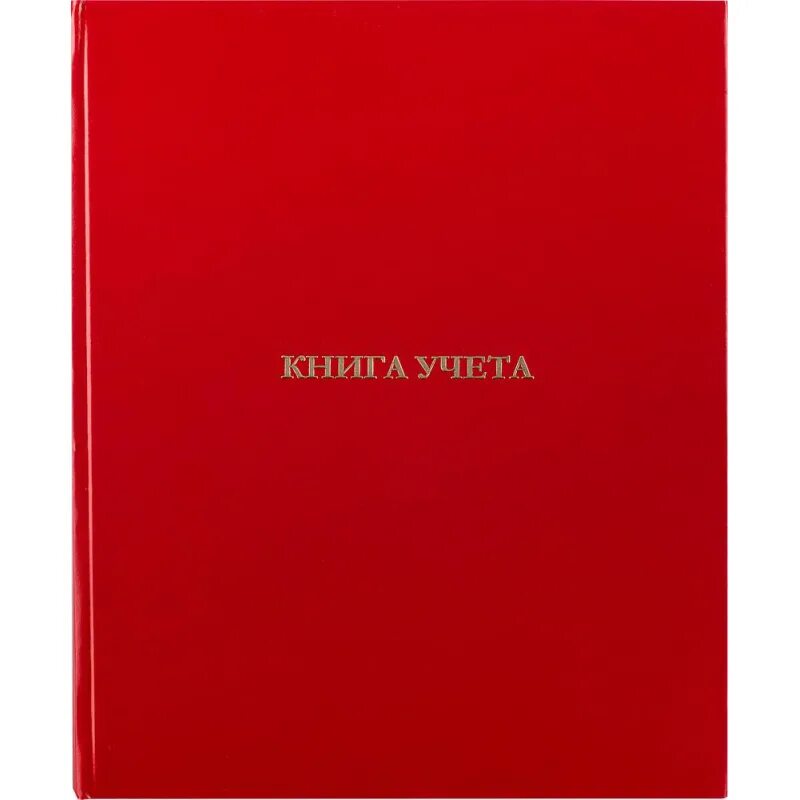 Книга учета бумвинил. Книга учета 96л. В клетку офсет, обл.бумвинил Attache. Книга учета бухгалтерская в клетку а4 Attache 96 листов. Бух книга учета 96л в клетку Attache. Книга учета бухгалтерская Attache офсет а4 96 листов в клетку на сшивке.