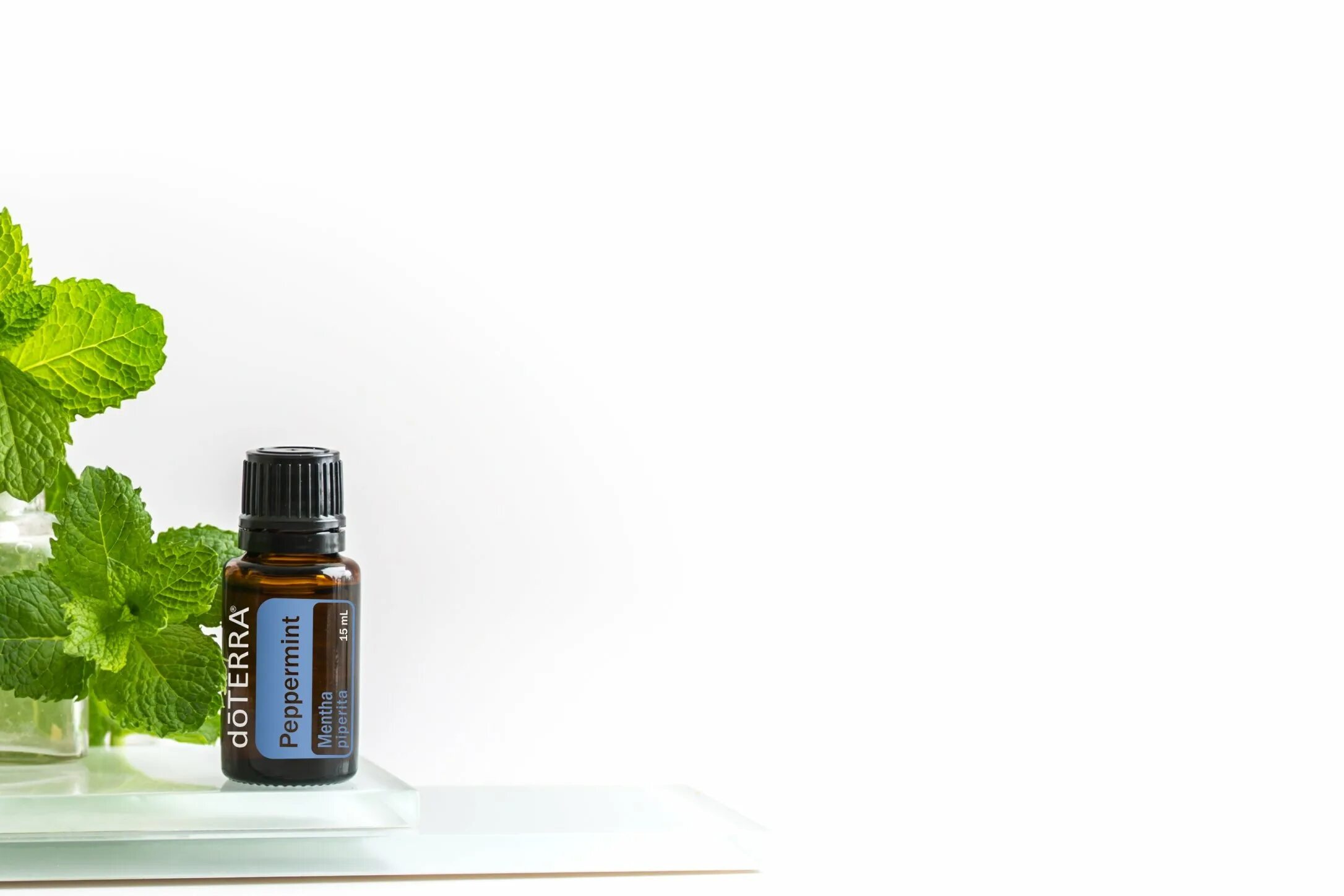 Мята эфирное масло ДОТЕРРА. DOTERRA эфирное масло Oregano. Перечная мята ДОТЕРРА. Эфирное масло перечная мята DOTERRA.