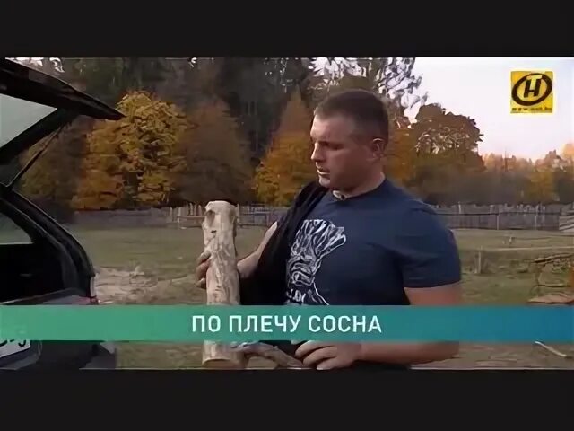 Пробило бревном. Мужчина с бревном в плече. белорус с бревном в плече.