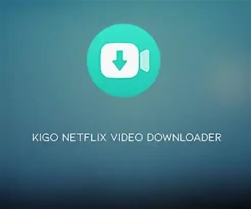 Netflix downloader