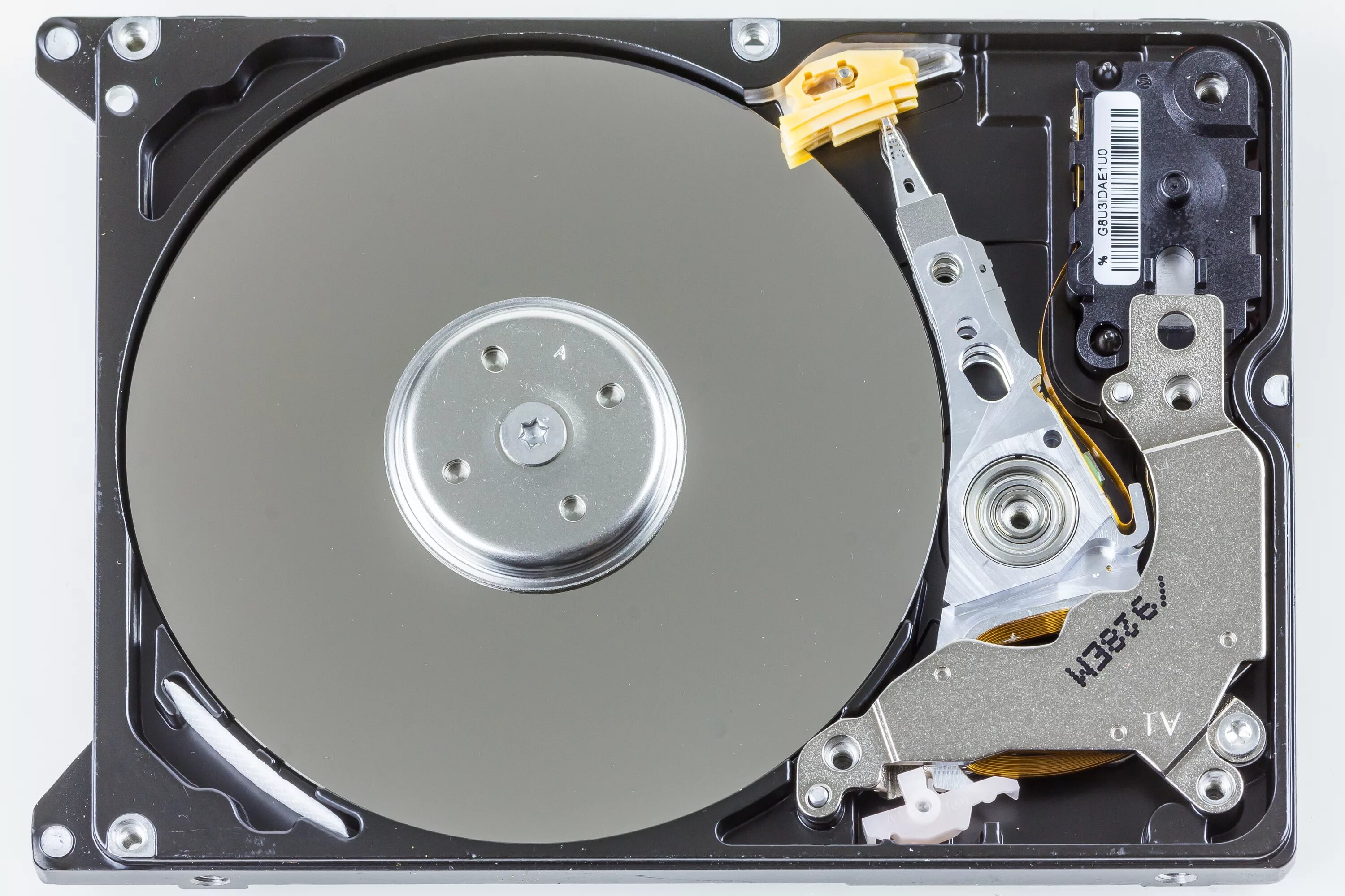 Жесткий диск компьютера является. WD 800 жесткий диск. Wd800bevs-08rst2. "Жесткий диск" Jumbo v8. Жесткий диск wd63purz.