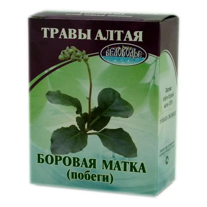 Можно пить боровую матку во время месячных