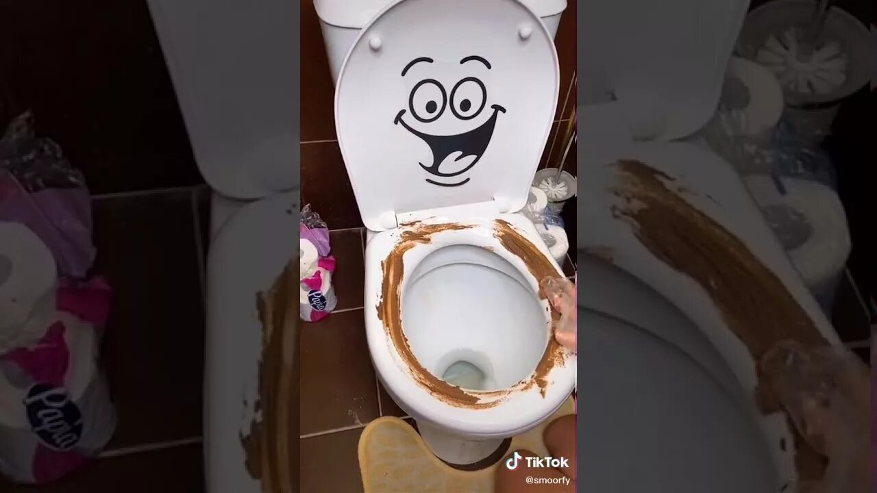 Маленькая собачка в унитазе. Унитазы видео приколы. Енот какает. Аня какает. Унитазы видео приколы.