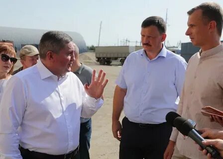 Волгоградское зерно
